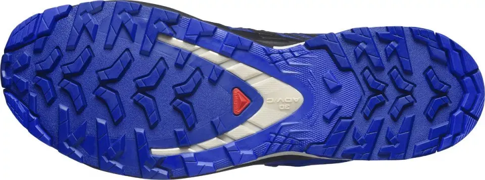 Salomon XA PRO 3D V9 GTX