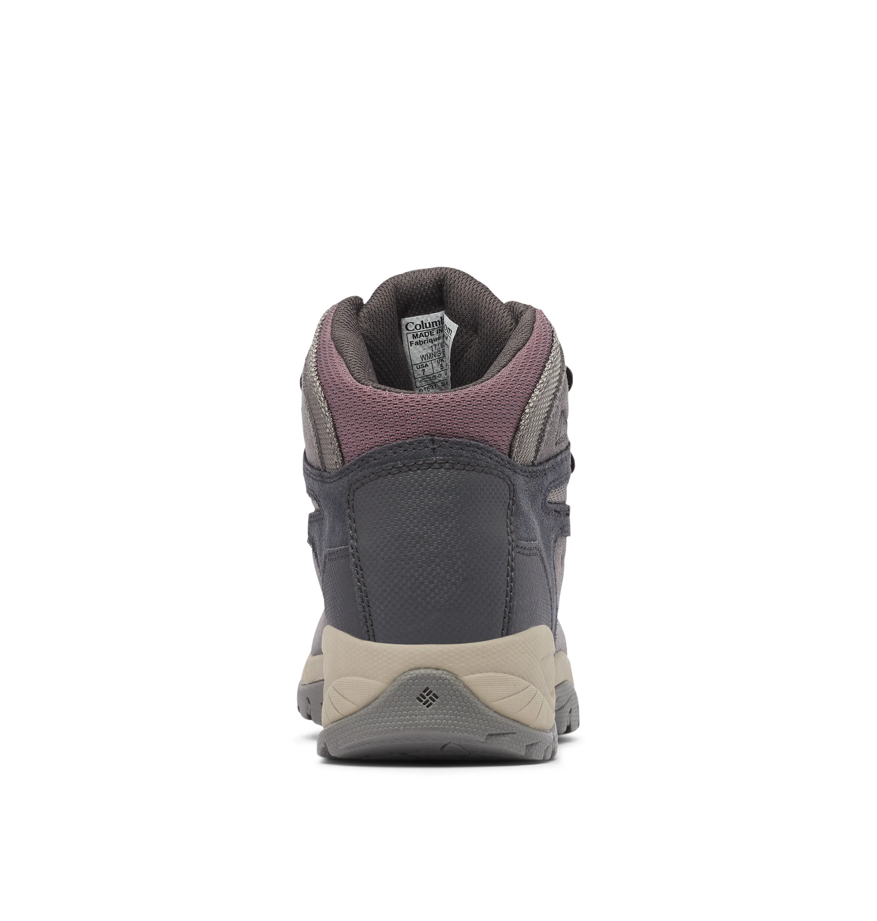 Women's Newton Ridge Plus Waterproof Amped Hiking Boot